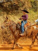 apore, goias, Brésil - 05 07 2023 à cheval équitation un événement ouvert à le Publique photo