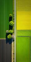 génératif ai, ferme paysage, agricole des champs, magnifique campagne, pays route. la nature illustration, photoréaliste Haut vue drone, verticale format photo