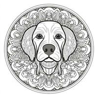 coloriage chien mandala photo