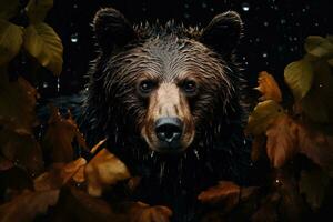 frontal vue de une ours dans le l'automne forêt photo