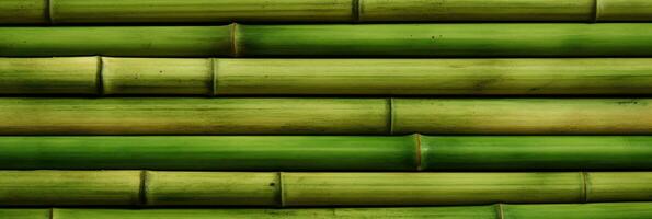 horizontal vert bambou Contexte texture photo