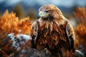 d'or Aigle dans la nature. génératif ai photo