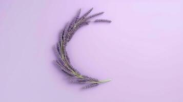 génératif ai, couronne de lavande branches fleurs avec copie espace, Naturel biologique floral Cadre violet Contexte photo
