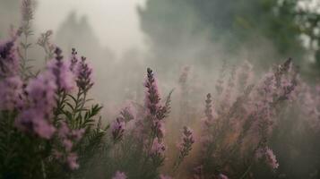 génératif ai, proche en haut croissance lavande champ avec parfum fumée, floraison lavande, rose violet fleurs et herbe. photo