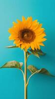 tournesol rêves délicieux mélange de Jaune et ciel bleu dans une minimaliste style génératif ai photo