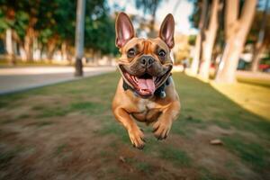 une proche - en haut coup de une joyeux, chien fonctionnement par le parc. génératif ai photo