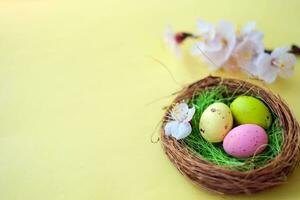 Pâques Contexte avec Pâques des œufs et printemps fleurs. Haut vue avec copie espace photo