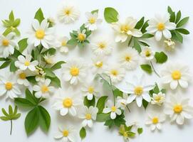 blanc fleurs et feuilles Contexte photo