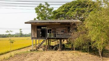 une vue de un abandonné et pourri vieux en bois maison monté sur le sol. photo