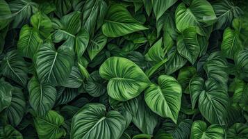 tropical feuilles avec l'eau gouttes sur vert feuilles Contexte. réaliste feuilles texture. vecteur illustration ai génératif photo