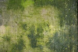 champignons vert mousse texture abstrait Contexte béton sol photo