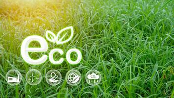 éco concept pour environnement, société et la gouvernance dans durable. affaires responsable environnemental. photo