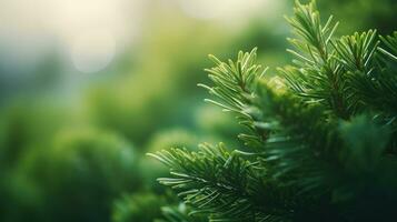 fermer de Noël arbre guirlande verdure avec flou Contexte et bokeh. ai généré photo