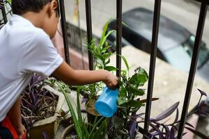 mignonne 5 année vieux asiatique peu garçon est arrosage le plante dans le des pots situé à maison balcon, l'amour de sucré peu garçon pour le mère la nature pendant arrosage dans végétaux, enfant plantation photo