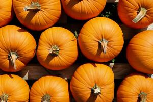 citrouilles pour vente à une citrouille correctif. Halloween et l'automne citrouilles empilé sur chaque autre pour vente à une Les agriculteurs marché. Orange citrouilles. photo