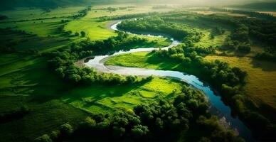 panoramique Haut vue de une enroulement rivière entouré par dense forêt et spacieux des champs avec vert herbe - ai généré image photo