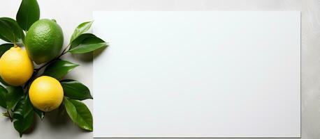 photo de citrons et vert feuilles sur une blanc Contexte avec copie espace avec copie espace
