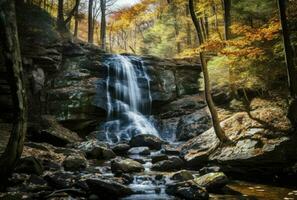 panoramique magnifique Profond forêt cascade, génératif ai photo