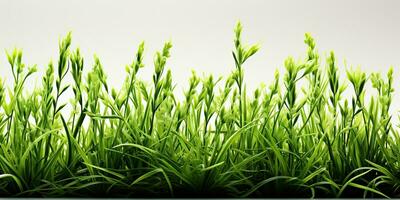 ai généré. ai génératif. la nature Extérieur sauvage vert herbe Contexte. plante champ paysage. graphique art photo