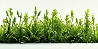 ai généré. ai génératif. la nature Extérieur sauvage vert herbe Contexte. plante champ paysage. graphique art photo