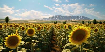 ai généré. ai génératif. tournesols champ à ensoleillé journée. la nature Extérieur wil explorer ferme récolte journée ambiance. graphique art photo