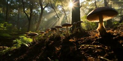 ai généré. ai génératif. Extérieur la nature sauvage paysage forêt explorer Voyage aventures avec champignons trouver sur sol. graphique art photo
