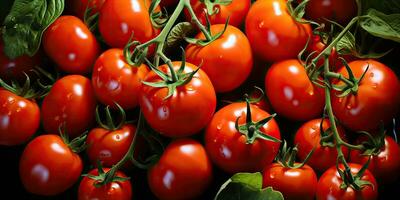 ai généré. ai génératif. beaucoup rouge Frais tomates des légumes agriculture. graphique art photo