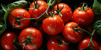 ai généré. ai génératif. beaucoup rouge Frais tomates des légumes agriculture. graphique art photo