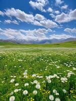 ai génératif Sibérie kakassie Lac itkul le la nature de Sibérie kakass steppe fleurs dans le steppe Russie photo