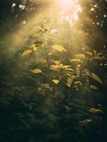 ai génératif le Soleil par le branches de des arbres Matin lumière du soleil par le vert feuillage fermer photo