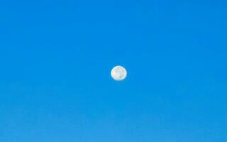 proche en haut de plein lune pleine lune brillant vivement dans Mexique. photo