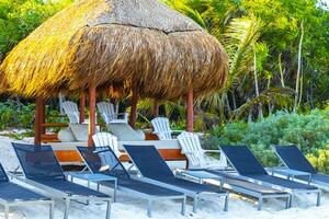 palapa chaume toits paumes des parasols Soleil chaises longues plage recours Mexique. photo