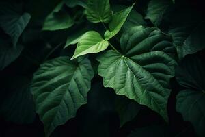 vert feuilles Contexte. ai génératif photo