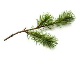 Haut vue de vert sapin arbre épicéa branche avec aiguilles isolé sur blanc Contexte. établi avec génératif ai technologie. photo