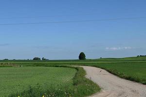 une route de gravier sinueuse entre les champs photo