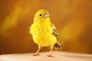 très mignonne canari dans nature, nationale géographie, large la vie animaux. ai généré. photo