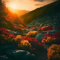 coloré l'automne lever du soleil dans le Carpates montagnes Ukraine. photo