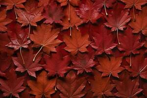 du vin rouge l'automne feuilles texture, tomber la nature arrière-plan, ai génératif photo