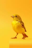 très mignonne canari dans nature, nationale géographie, large la vie animaux. ai généré. photo