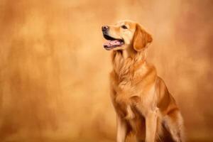 mignonne d'or retriever dans nature, nationale géographie, large la vie animaux. ai généré. photo