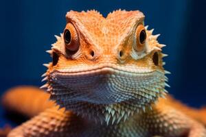 barbu dragon dans nature, nationale géographie, large la vie animaux. ai généré. photo