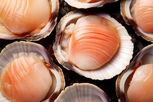 fermer Haut vue de Ingrédients coquille, Japonais aliments. ai généré. photo