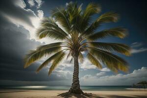 paume arbre sur le plage. été vacances concept. ai génératif photo