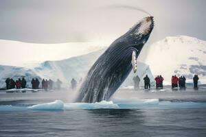 à bosse baleine dans antarctique des eaux, Antarctique. Voyage concept. une à bosse baleine prend une se plonger tandis que touristes film le événement, Antarctique, ai généré photo