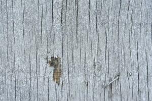 le surface de vieux pourri planches. des fissures dans le bois. vieux contre-plaqué. traces de peindre. photo