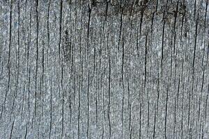 le surface de vieux pourri planches. des fissures dans le bois. vieux contre-plaqué. traces de peindre. photo