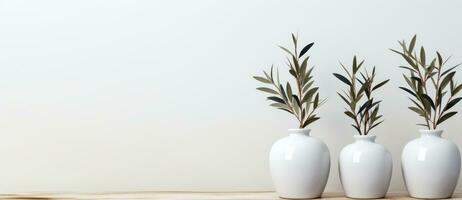 des vases avec olive branche sur minimaliste Contexte photo