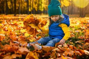 mignonne peu adorable enfant fille dans brillant vêtements pièces avec Jaune l'automne feuilles et recueille Facile bouquet de sec déchue érable feuilles avec magnifique rayons de soleil chute sur l'automne forêt parc à le coucher du soleil photo