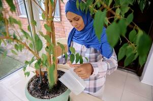 serein charmant Jeune arabe musulman femme avec sa tête couvert dans bleu hijab soins pour plantes d'intérieur, arrosage intérieur les plantes sur le véranda tandis que nettoyage le maison photo