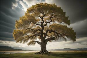 fantaisie silhouette de une arbre dans le désert. ai génératif photo